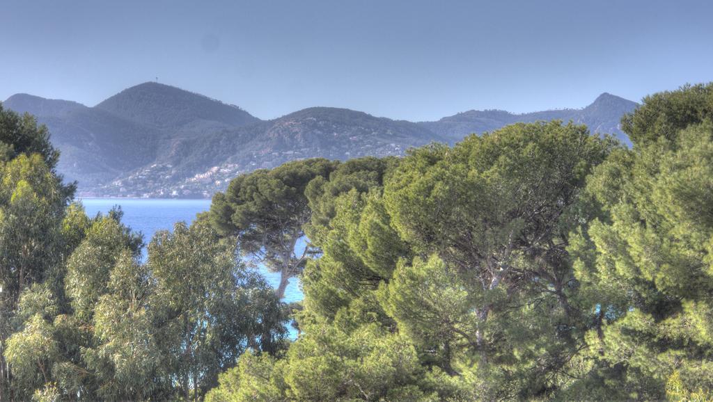 Beau 2 Pieces 3 Etoiles Vue Mer Garage Prive 150M Plages Wifi Канни Екстер'єр фото
